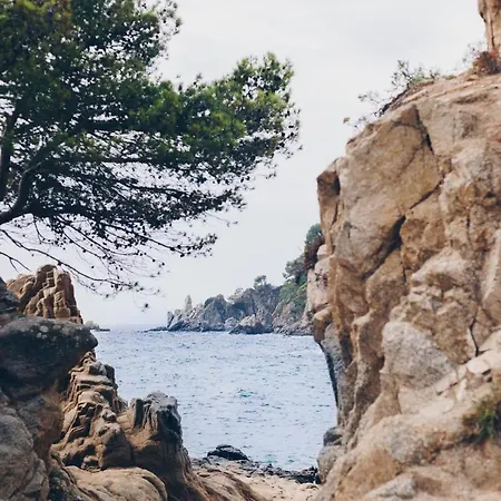 Cleopatra 4* Lloret de Mar