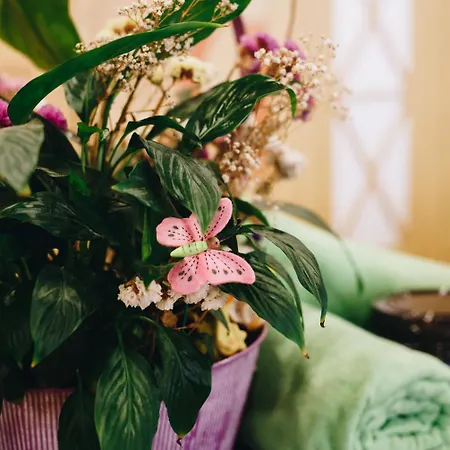 酒店 埃及艳后spa酒店